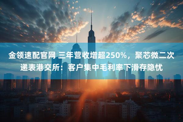 金领速配官网 三年营收增超250%，聚芯微二次递表港交所：客户集中毛利率下滑存隐忧